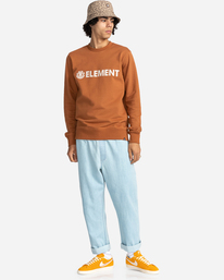 3 Blazin - Sweatshirt for Men Brown W1CRB6ELP1 Element