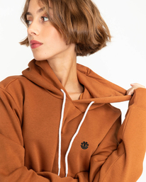 6 Cornell Classic - Hoodie Brown W1HOB7ELP1 Element
