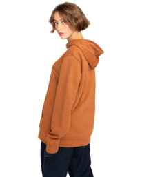 7 Cornell Classic - Hoodie Brown W1HOB7ELP1 Element