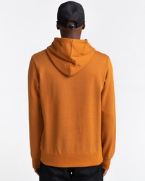 3 Cornell Classic - Sudadera con Capucha Marron W1HOB7ELP1 Element