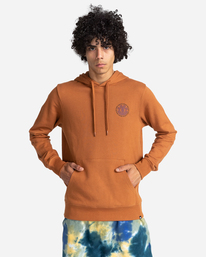 2 Seal - Sweat à capuche pour Homme Marron W1HOB8ELP1 Element
