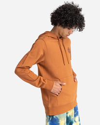 3 Seal - Sweat à capuche pour Homme Marron W1HOB8ELP1 Element