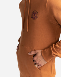 4 Seal - Sweat à capuche pour Homme Marron W1HOB8ELP1 Element
