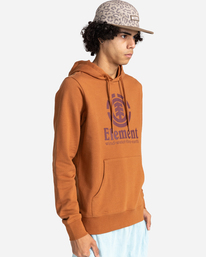 2 Vertical - Hoodie for Men Brown W1HOD1ELP1 Element