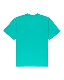 1 Prism Icon - T-shirt pour Homme  W1SSI4ELP1 Element