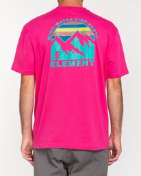 3 Foxwood - T-shirt pour Homme Rose W1SSN9ELP1 Element