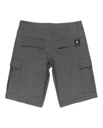 1 Legion 21" - Cargo Shorts for Men Grey W1WKC8ELP1 Element