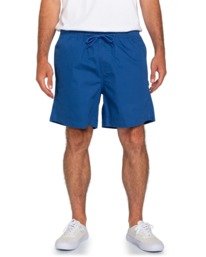 2 VACATION SHORT 17" Blue W1WKC9ELP1 Element
