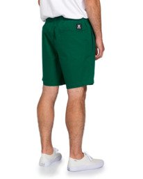 4 VACATION SHORT 17" Green W1WKC9ELP1 Element