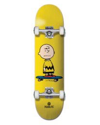 0 8" PEANUTS CHARLIE Black W4CPC6ELP1 Element