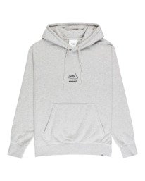 0 Forester - Sweat à capuche pour Homme Gris Z1FLC5ELF1 Element