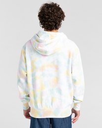2 Blazin Chest - Sudadera con Capucha para Hombre Multi Z1HOD3ELF1 Element
