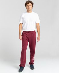 4 Cornell - Pantalón de Chándal Unisex Rojo Z1PTC3ELF1 Element