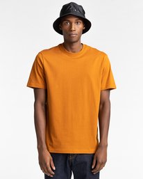 1 Crew - T-Shirt Unisex Braun Z1SSI2ELF1 Element