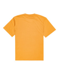 1 Vertical - T-shirt pour Homme Marron Z1SSI4ELF1 Element