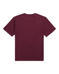1 Blazin - T-shirt pour Homme Blanc Z1SSI5ELF1 Element
