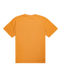 1 Blazin - T-shirt pour Homme Marron Z1SSI5ELF1 Element