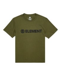 0 Blazin - T-shirt pour Homme Vert Z1SSI5ELF1 Element