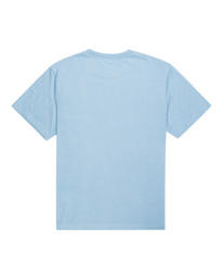 1 Blazin - T-shirt pour Homme Bleu Z1SSI5ELF1 Element