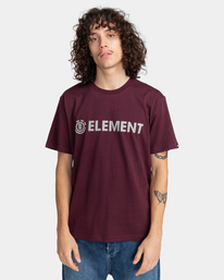 2 Blazin - T-shirt pour Homme Blanc Z1SSI5ELF1 Element