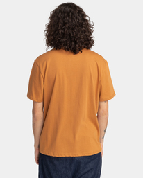 5 Blazin - T-shirt pour Homme Marron Z1SSI5ELF1 Element