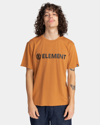 2 Blazin - T-shirt pour Homme Marron Z1SSI5ELF1 Element