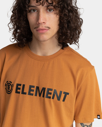 3 Blazin - T-shirt pour Homme Marron Z1SSI5ELF1 Element