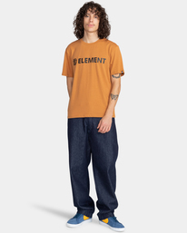 4 Blazin - T-shirt pour Homme Marron Z1SSI5ELF1 Element