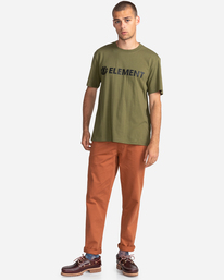 3 Blazin - T-shirt pour Homme Vert Z1SSI5ELF1 Element