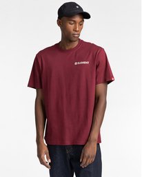 1 Blazin Chest - T-shirt pour Homme Rouge Z1SSI6ELF1 Element