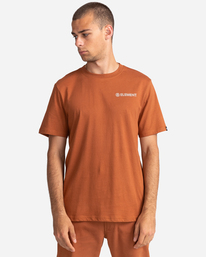 1 Blazin Chest - T-shirt pour Homme Marron Z1SSI6ELF1 Element