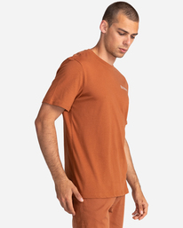 2 Blazin Chest - T-shirt pour Homme Marron Z1SSI6ELF1 Element