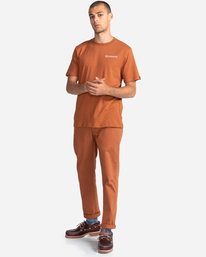 3 Blazin Chest - T-shirt pour Homme Marron Z1SSI6ELF1 Element