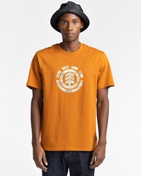 1 Landscape - T-shirt pour Homme Marron Z1SSJ5ELF1 Element