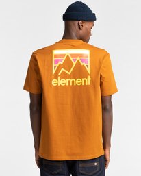 3 Joint - T-Shirt Unisex Brown Z1SSM4ELF1 Element