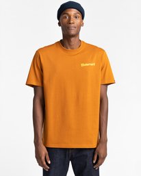 2 Joint - T-Shirt Unisex Brown Z1SSM4ELF1 Element