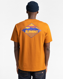3 Valemont - T-Shirt for Men Brown Z1SSM6ELF1 Element
