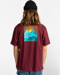 3 Lahotan - T-shirt pour Homme Rouge Z1SSM8ELF1 Element