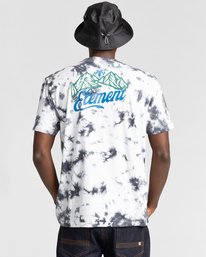 3 Olmstead - T-shirt pour Homme Gris Z1SSN1ELF1 Element