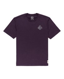 0 Acceptance - T-shirt pour Homme Violet Z1SSO9ELF1 Element
