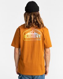 3 Malta - T-Shirt for Men Brown Z1SSQ1ELF1 Element