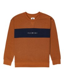 0 Sergio - Sweatshirt for Boys Brown Z2CRB2ELF1 Element