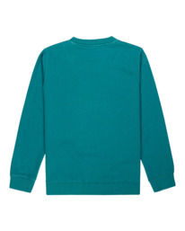 1 Cornell Classic - Sweatshirt f&uuml;r Kinder Gr&uuml;n Z2CRB6ELF1 Element