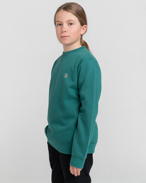 3 Cornell Classic - Sweatshirt f&uuml;r Kinder Gr&uuml;n Z2CRB6ELF1 Element