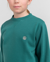 4 Cornell Classic - Sweatshirt f&uuml;r Kinder Gr&uuml;n Z2CRB6ELF1 Element
