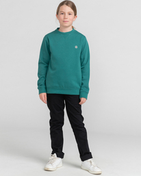 5 Cornell Classic - Sweatshirt f&uuml;r Kinder Gr&uuml;n Z2CRB6ELF1 Element