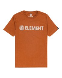 0 Blazin - T-Shirt for Boys Brown Z2SSC9ELF1 Element