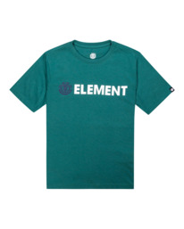 0 Blazin - Maglietta voor Ragazzo Green Z2SSC9ELF1 Element