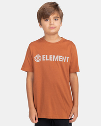 1 Blazin - T-Shirt for Boys Brown Z2SSC9ELF1 Element