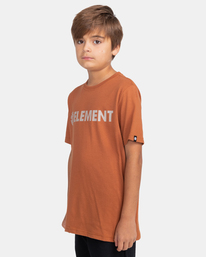2 Blazin - T-Shirt for Boys Brown Z2SSC9ELF1 Element
